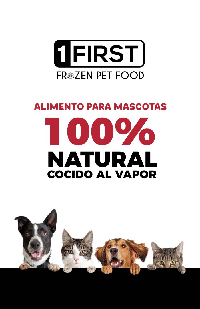 Banner Web First 1