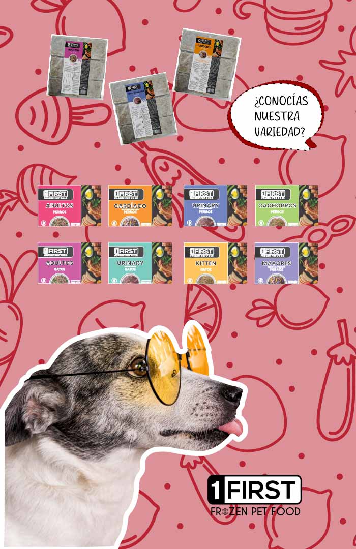 Banner Web First 2