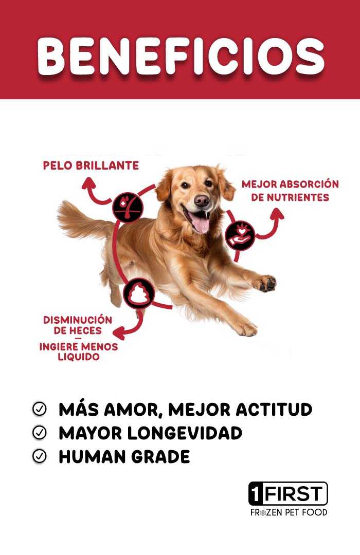 Banner Web First 4