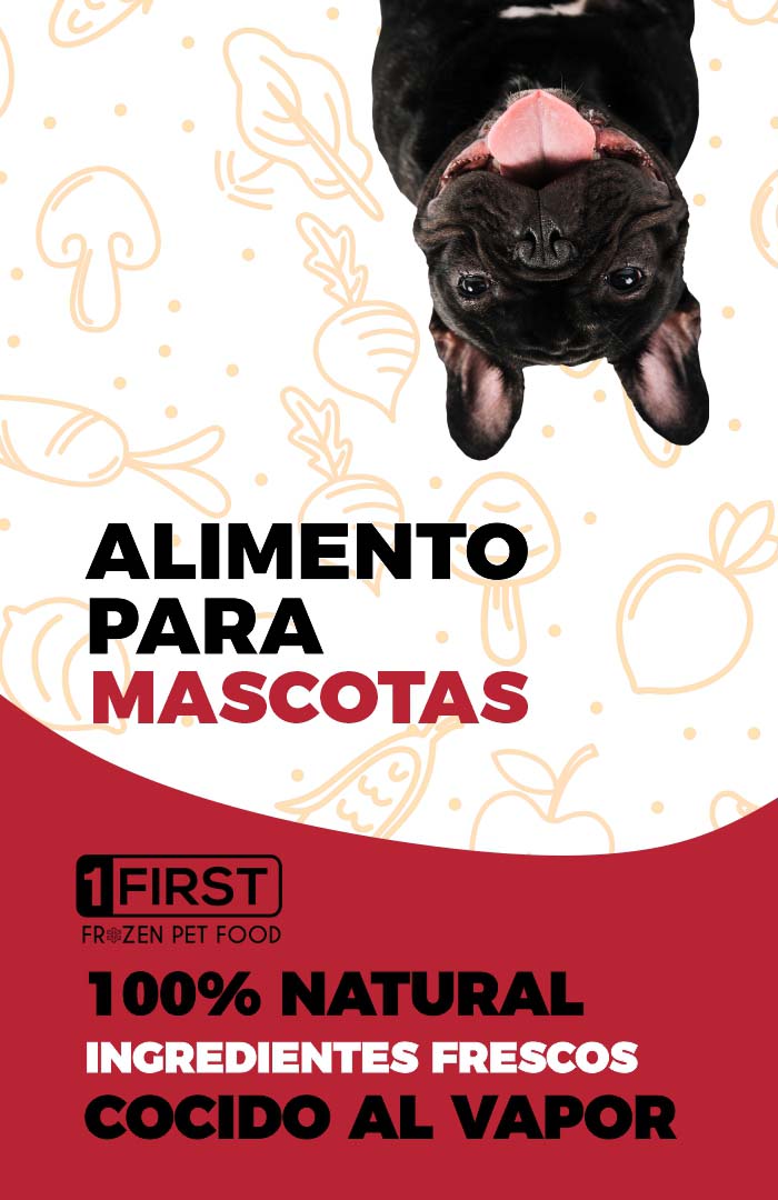 Banner Web First 5