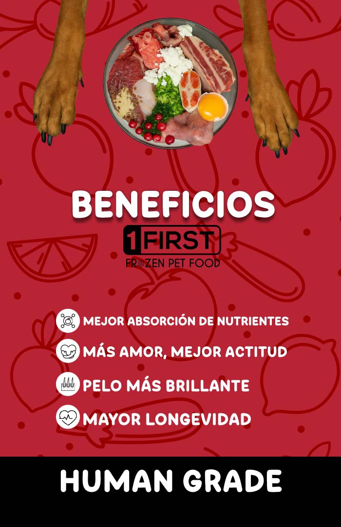 Banner Web First 6