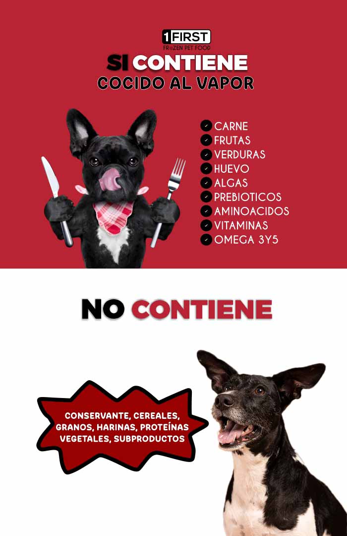 Banner Web First 8